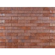 ТОМСКЪ 1НФ магма клинкер